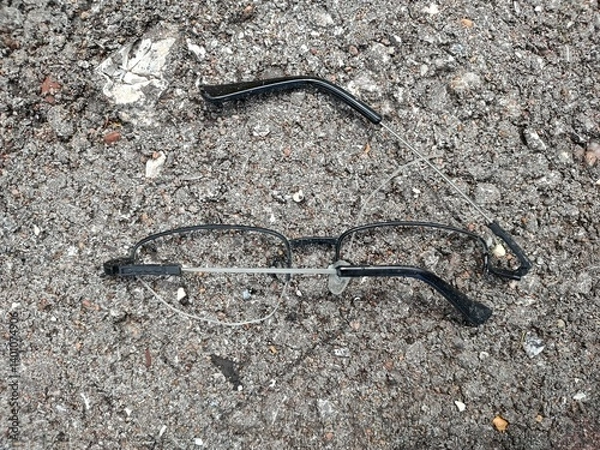 Fototapeta lizard on a rock