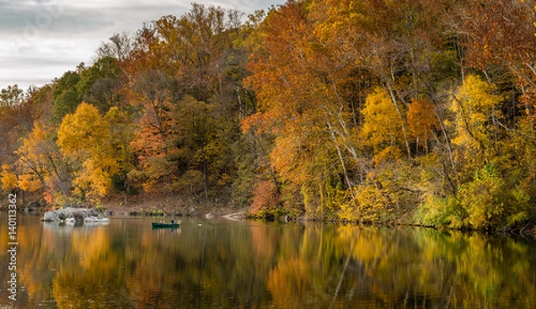 Obraz Autumn foliage
