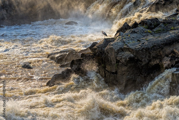 Obraz Potomac Great Falls