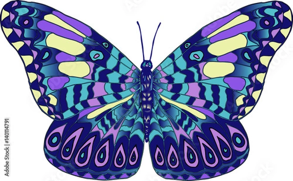 Obraz Векторное изображение разноцветная тропическая бабочка изолированная на белом фоне
