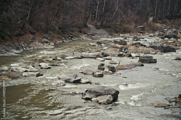 Obraz Горная река ранней весной. Каменистое ущелье в Карпатах