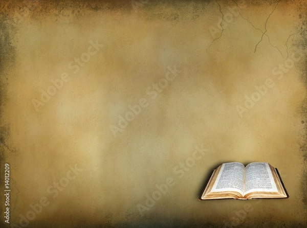 Obraz bible