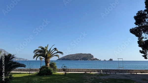 Fototapeta Peaceful ocean view from a landscaped park with palm trees, benches, and a distant forested island.
