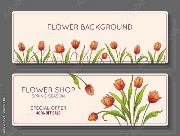 Fototapeta Template for banners design for flower shop. Vector illustration of tulip flowers, leaves, grass. Flower border. For advertising, flyer, backgrounds. Flower market, spring concept.