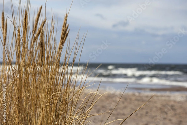 Fototapeta 
Sandy beach with dry grass in the foreground and a wavy sea in the background under a cloudy sky.