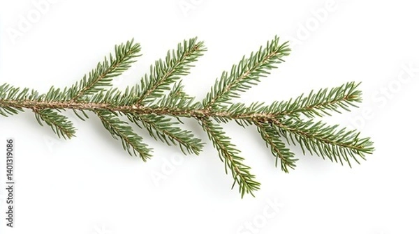 Fototapeta A single, delicate green fir tree spruce branch, isolated on a white background. Symbolizing nature, winter, Christmas, freshness, and growth.