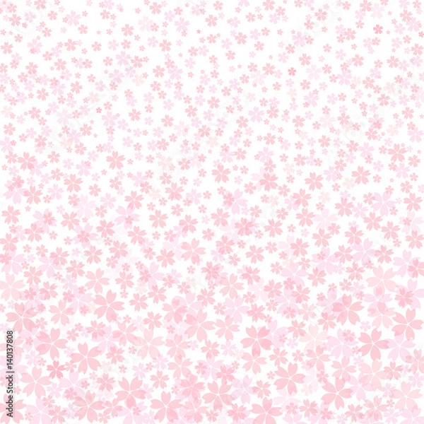 Fototapeta 桜　背景　グラデーション