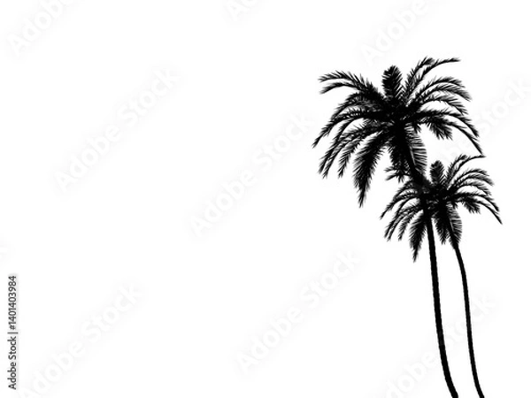 Fototapeta silhouette of a tree