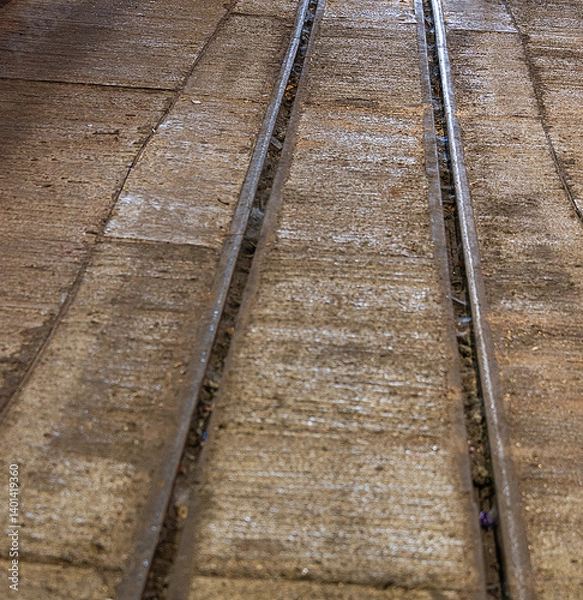 Obraz Narrow Guage Railway Tracks