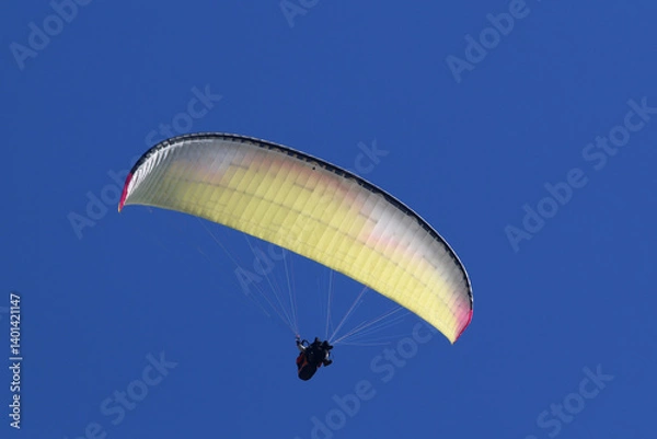 Obraz Tandem Paraglider flying in a blue sky	
