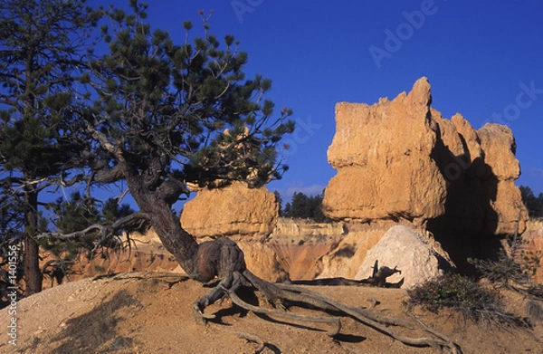 Obraz bryce canyon 1