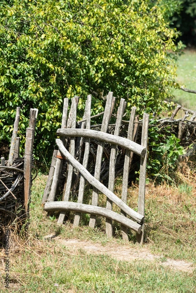 Fototapeta Old rustic wooden fence and gate with Humulus lupulus plant. Traditional handmade wattle fence in the village