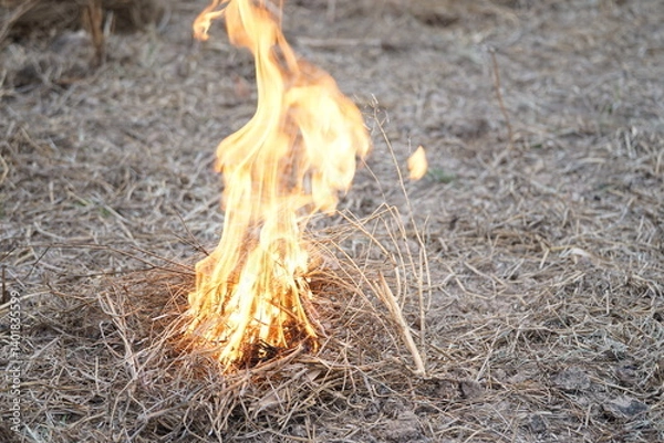 Obraz A pile of dry straw set on fire, with flames blazing brightly in a dry environment, reflecting rural life or land preparation for farming.