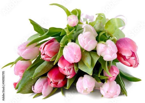 Obraz tulips bouquet lying