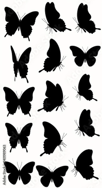 Fototapeta Grid layout featuring different black butterfly silhouette icons on a white background, organized collection for easy selection and use in design.