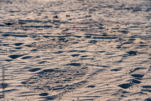 Fototapeta elephant footprint in the sand of the botswana desert