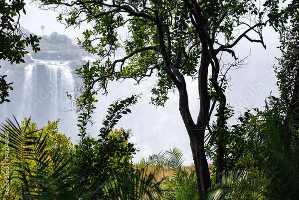 Fototapeta Lush green trees in the foreground with the victoria falls in the background with sheets of water cascading down 