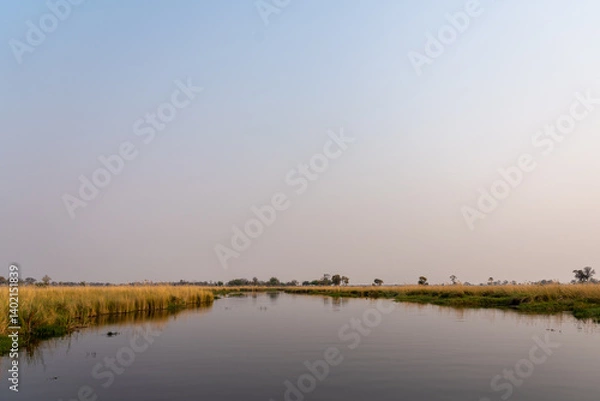 Fototapeta Okavango waterway with reflection of the sky and yellow/ green grass growing on the side in the morning with a light blue sky with pink accents 