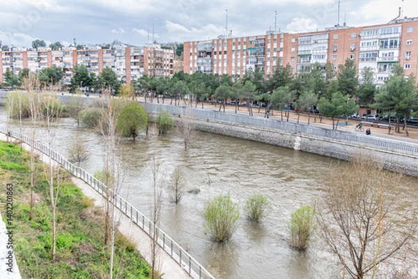 Fototapeta Manzanares River, on the verge of overflowing in some areas of Madrid, due to the rains of March 2025