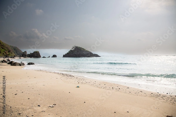 Fototapeta 奄美大島の自然、珊瑚礁の島、