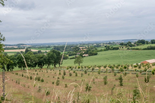 Fototapeta landscape