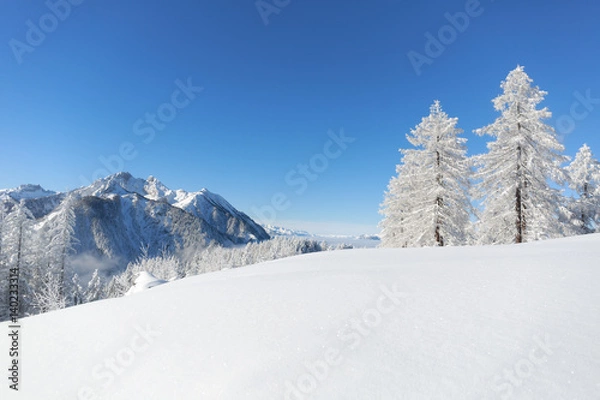 Obraz Winterlandschaft