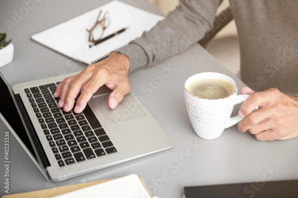 Obraz Man working with laptop in room