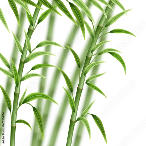 Obraz Green bamboo background. Bamboo stems, branches and leaves