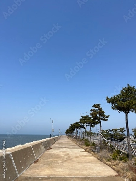 Obraz path to the sea