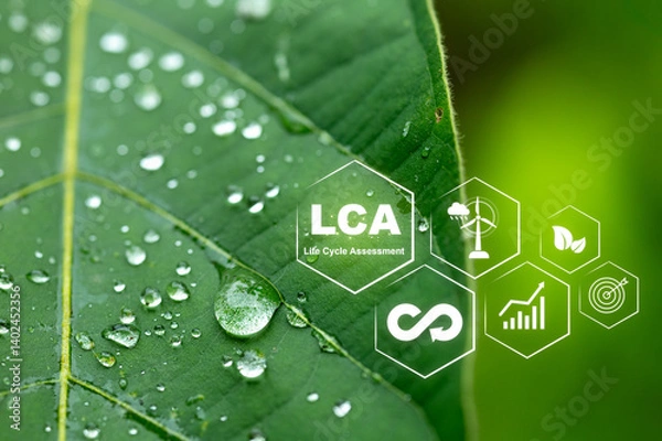 Fototapeta Close-up of Leaf with Water Droplets and Life Cycle Assessment Icons