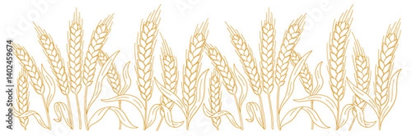 Fototapeta Hand-Drawn Hatched Wheat and Rye Stalks Vector Illustration for Flour Packaging