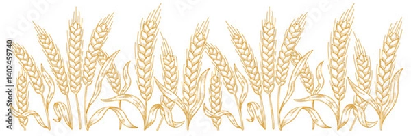 Fototapeta Hand-Drawn Wheat Stalks Vector Illustration