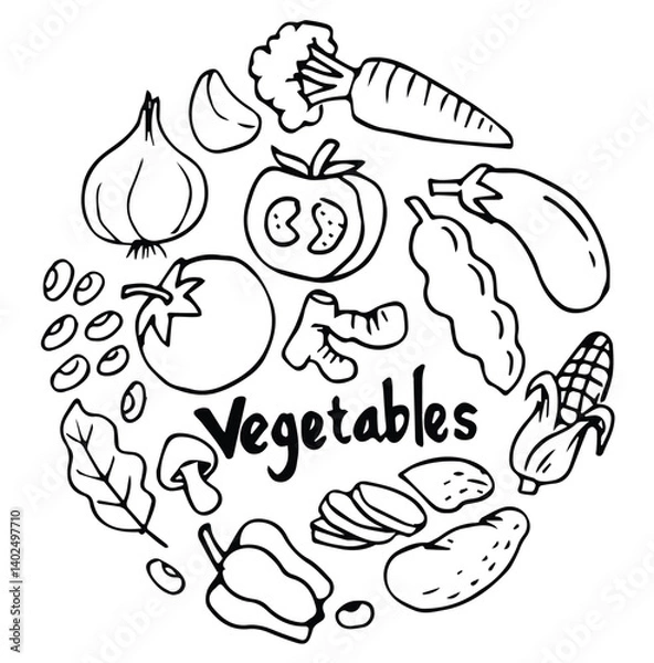 Fototapeta vegetables element doodle set. hand drawn sketch fruit and vegetables vector illustration	