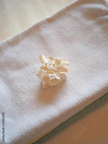 Fototapeta 洗濯物と花