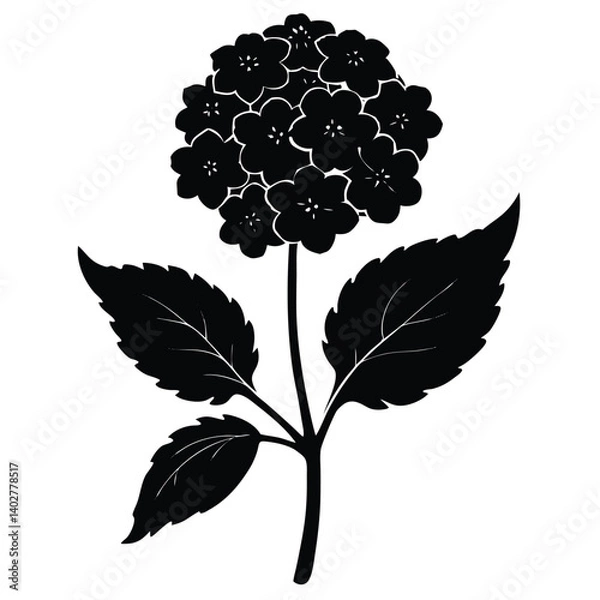 Fototapeta Black and White Hydrangea Flower Illustration: Detailed Floral Silhouette Graphic for Botanical Designs and Print Materials