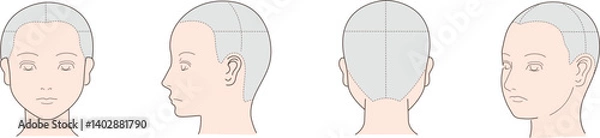 Obraz 色々な角度から見た人の顔の図
