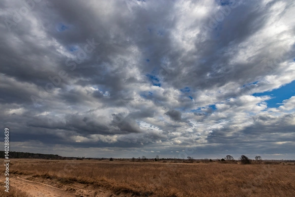 Fototapeta A cloudy sky with a few trees in the background