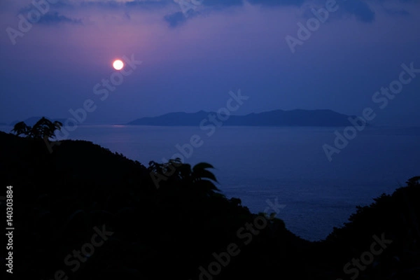 Obraz 海に昇る月