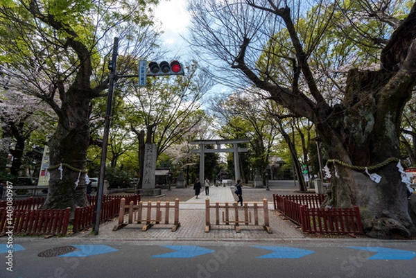 Obraz 大国魂神社　府中市　東京都