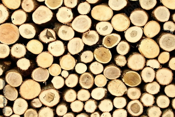 Fototapeta 겨울에 난로에 땔 장작