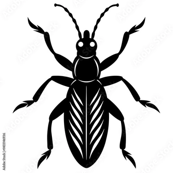Obraz Rice weevil silhouette vector illustration 