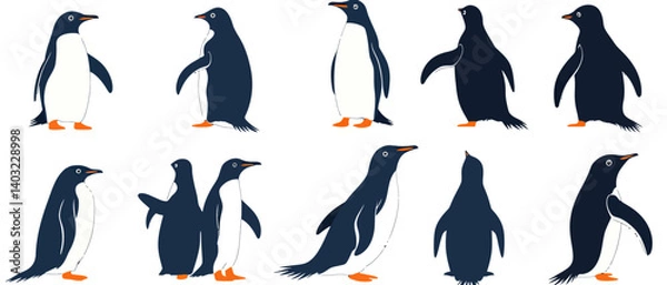 Fototapeta Penguin vector illustration set adorable antarctic birds in various poses