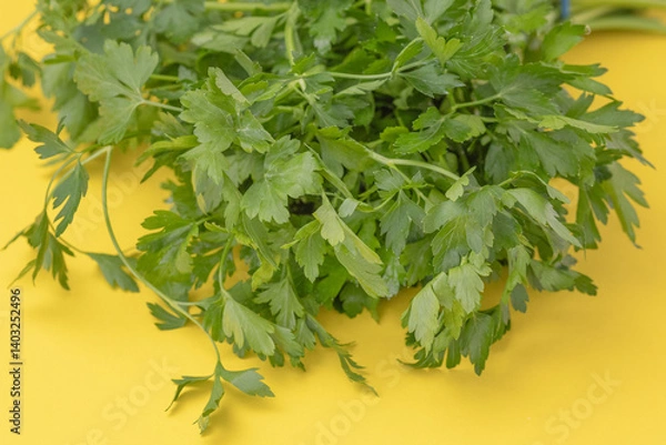 Obraz Bunch of green parsley on the yellow background