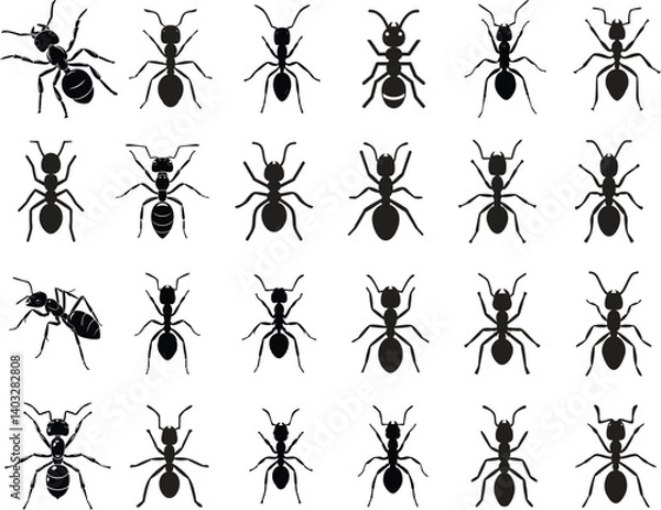 Obraz Ant Clipart