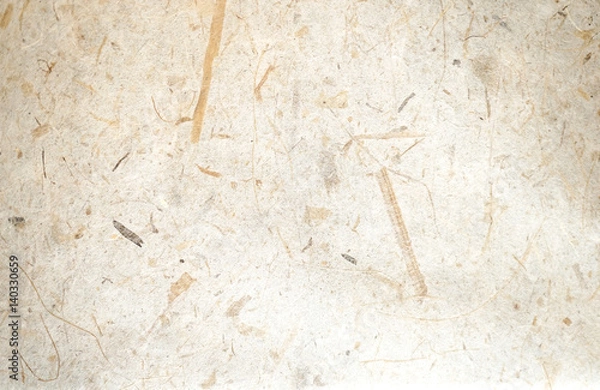 Fototapeta warm white rice mulberry flower rough paper petal and seed texture / recycle paper / craft or hand made paper / natural and eco friendly material