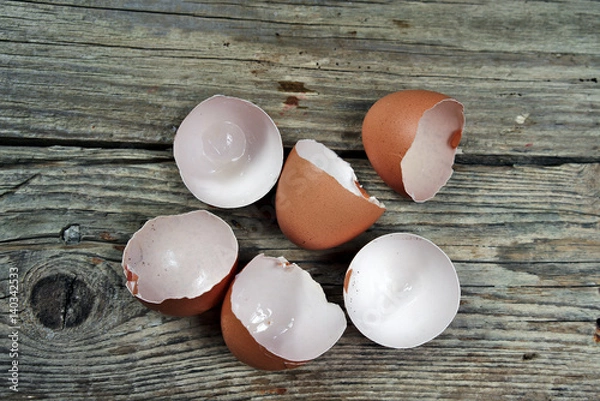 Obraz Shells of empty brown eggs
