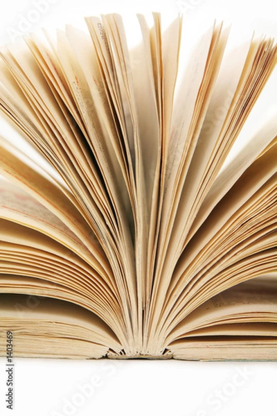 Fototapeta open book
