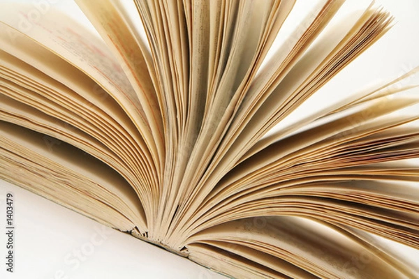 Fototapeta open book