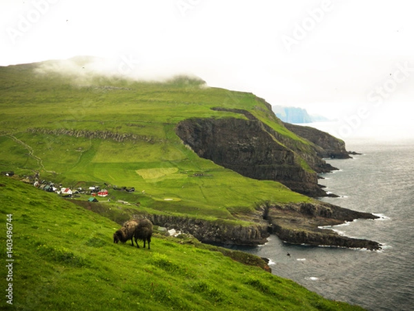 Obraz Rocky coastline with deep cliffs on the green island of Mykines with faroe sheeps on the green grass and colorful houses on the bacground. Faroe Island. Denmark