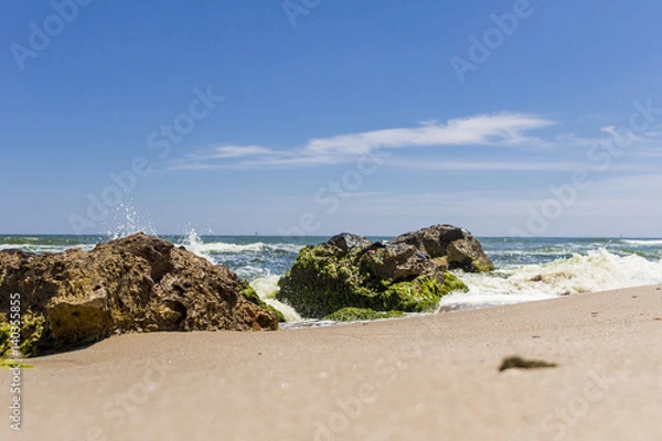 Obraz Big stones on the beach with seaweed
